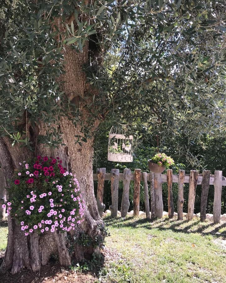 Agriturismo Le Faeta Arpino Exterior foto