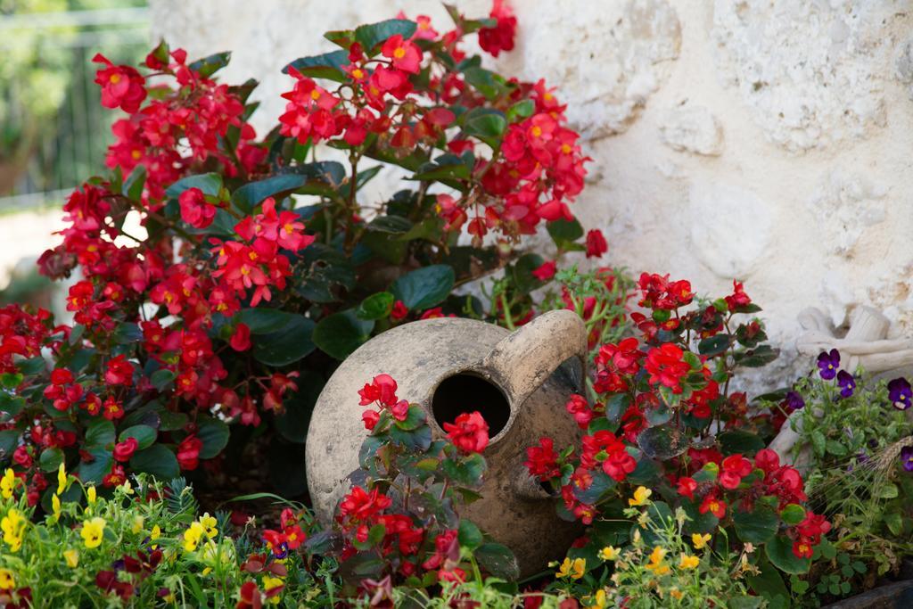 Agriturismo Le Faeta Arpino Exterior foto